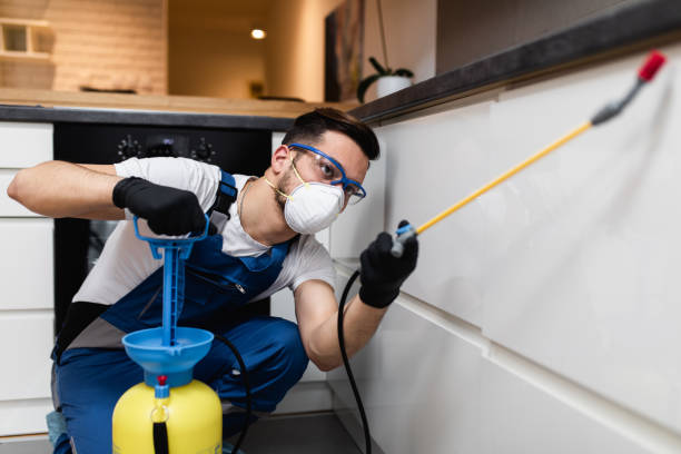 Best Insect Control  in North Ogden, UT