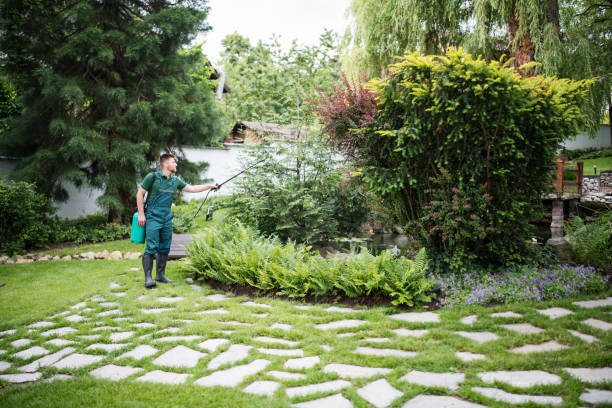 Best Ant Control Services  in North Ogden, UT