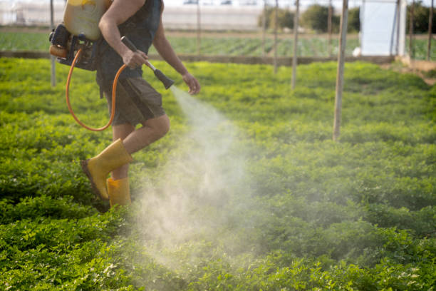 Best Pest Inspection Near Me  in North Ogden, UT